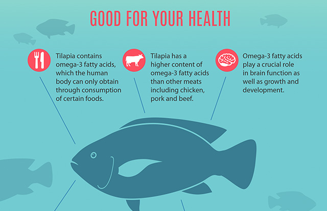 Health Benefits of Tilapia