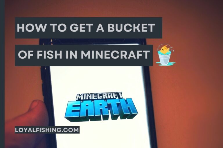 How To Get a Bucket of Fish in Minecraft: 5 Steps