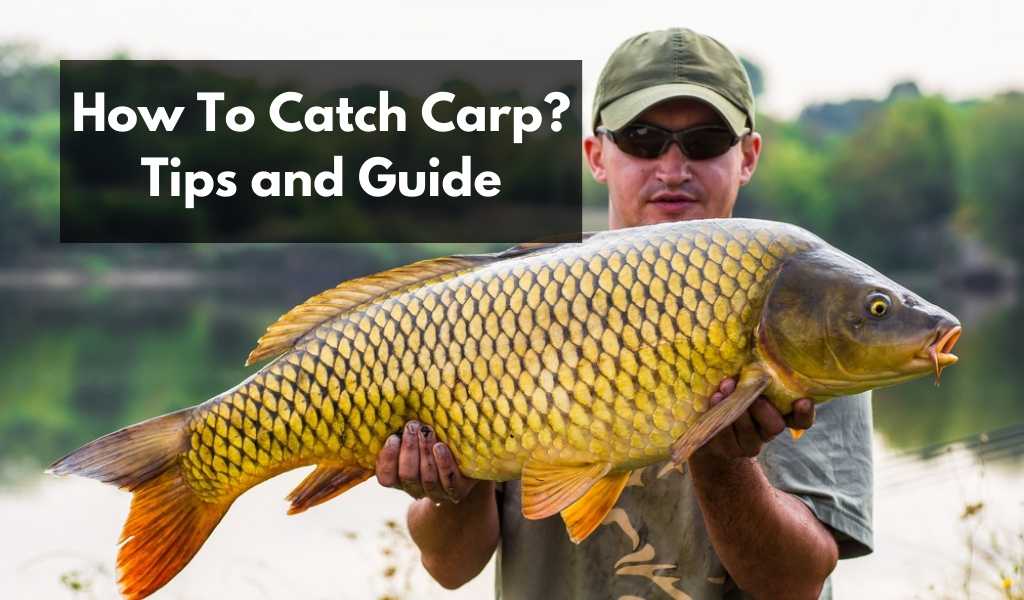 how to catch carp