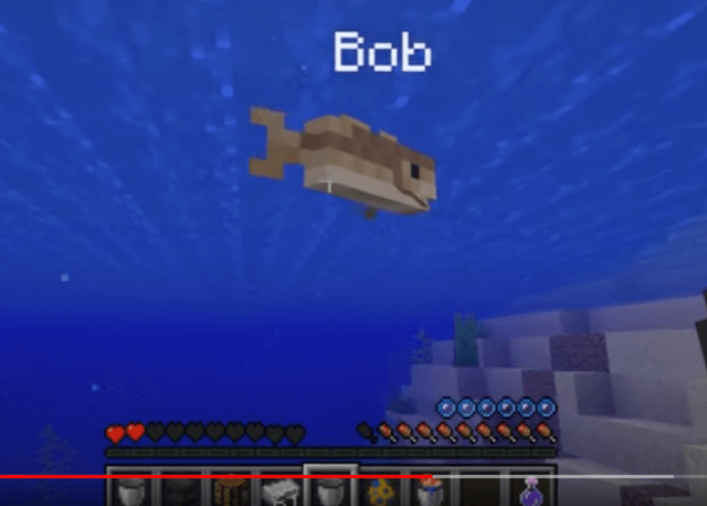 how to get a bucket of fish in minecraft