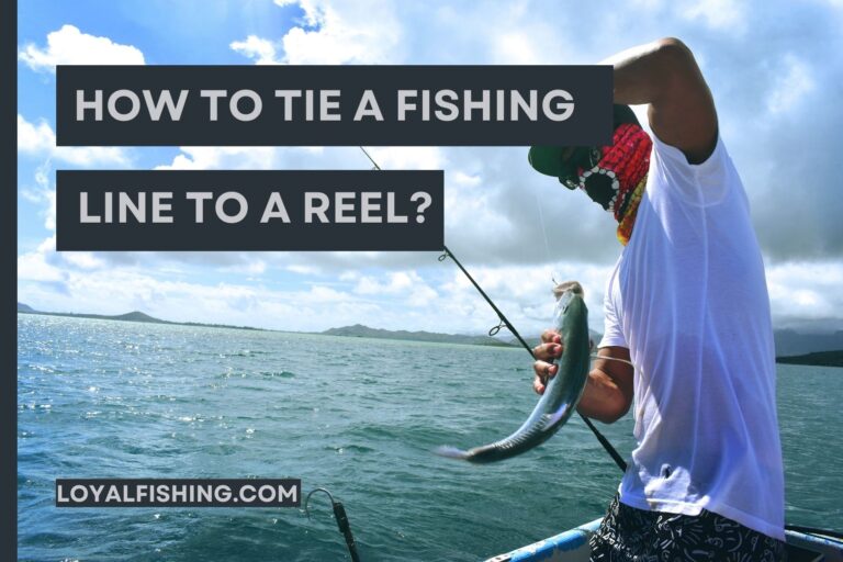 How to TIE a Fishing Line to Reel? [Proven Method 2023] ✅