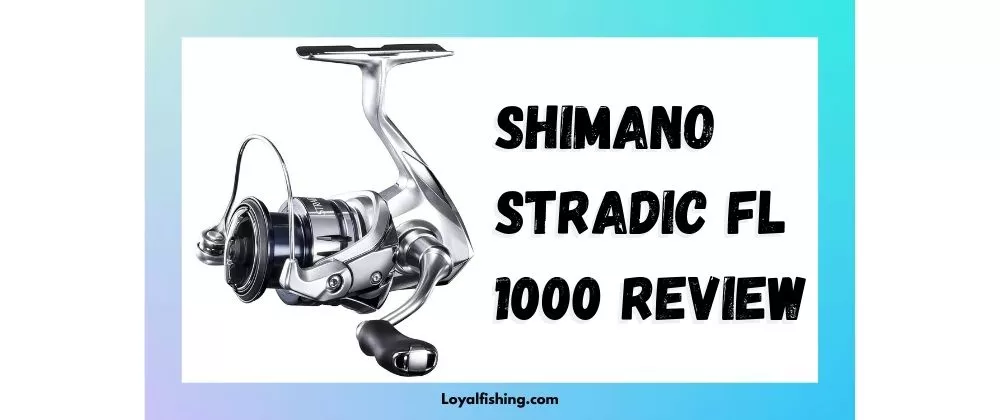 Shimano Stradic FL 1000 Review