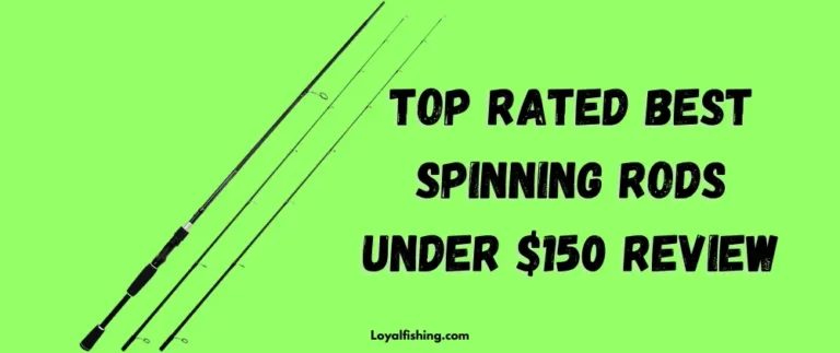 Top Rated Best Spinning Rod Under $150 Reviews
