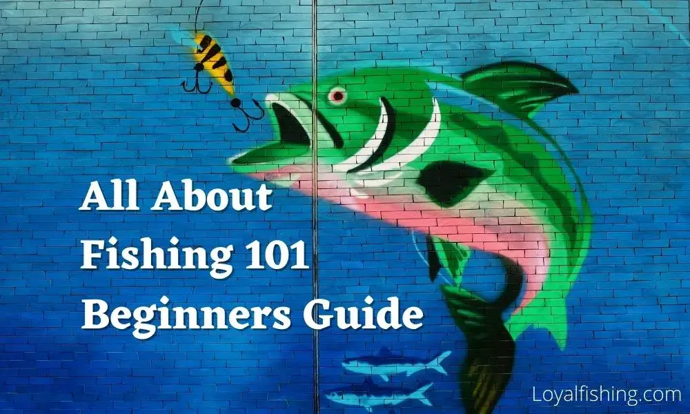 fishing 101 - beginners guide