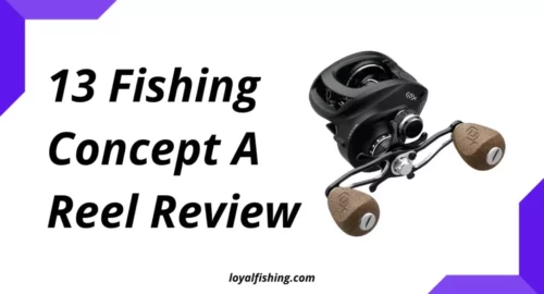13 fishing concept a review