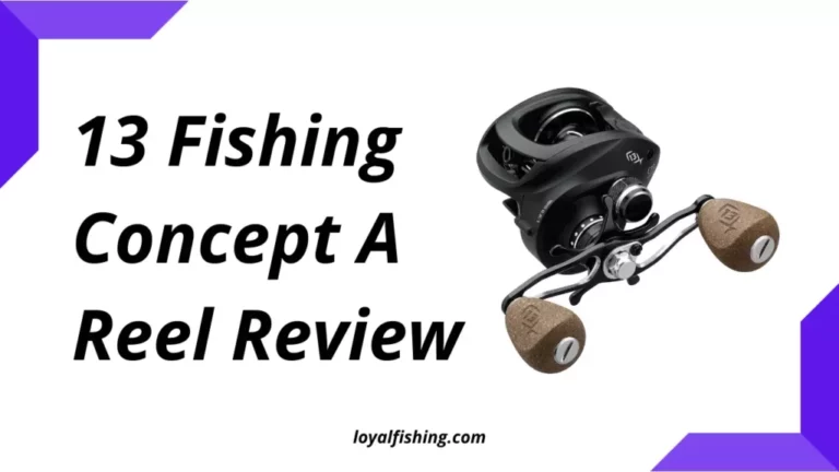 13 Fishing Concept A Review 2023: Is It Any Good?
