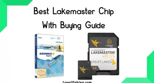 best lakemaster chip