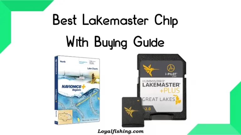 Best Lakemaster Chip Card 2023 Reviewed By Loyal Fishing