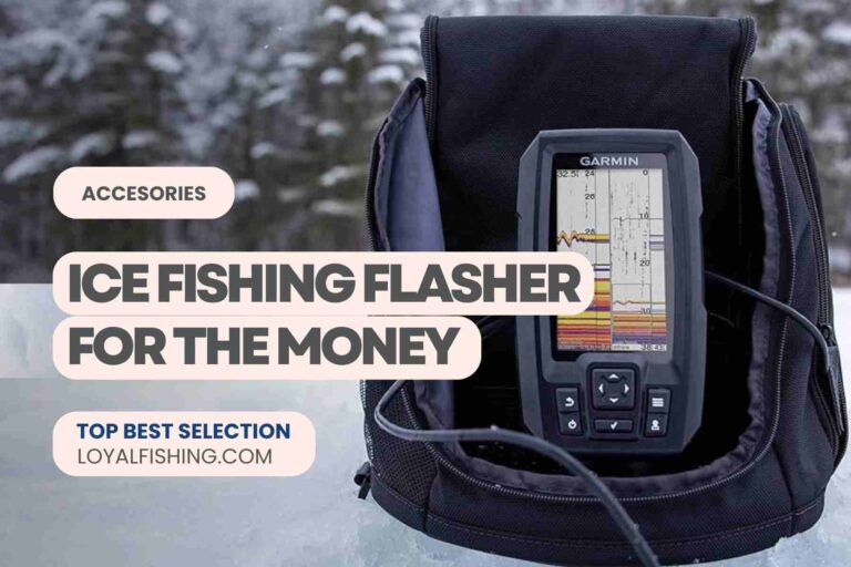Top 12 Best Ice Fishing Flasher For The Money 2024