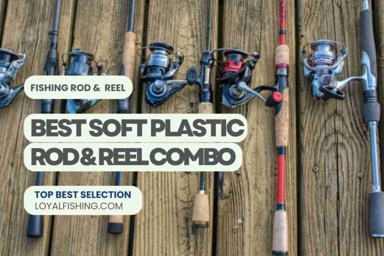 Best Soft Plastic Rod and Reel Combo 2024