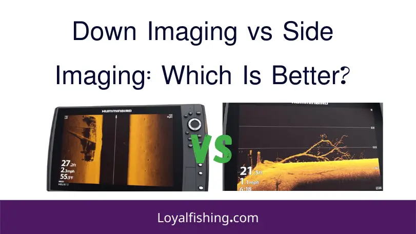 Down Imaging vs Side Imaging