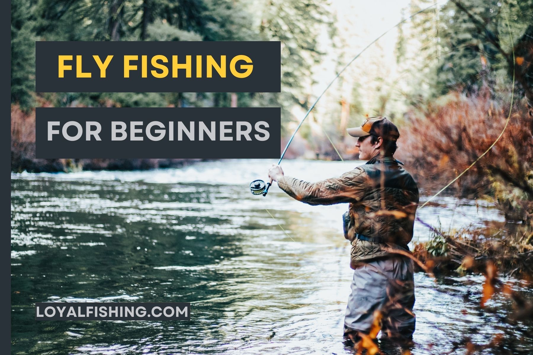 Fly Fishing For Beginners