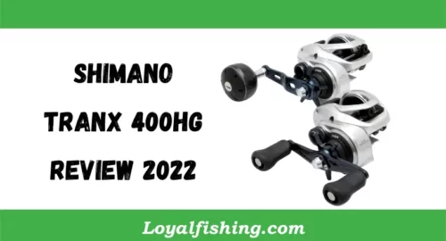 Shimano Tranx 400hg Review