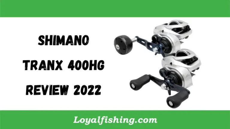 Shimano Tranx 400HG Review 2023 | Is it Worth the Money?
