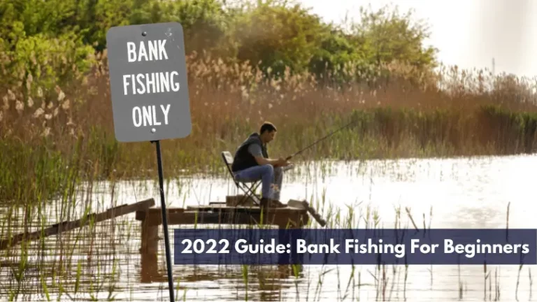 2023 Guide: Bank Fishing For Beginners
