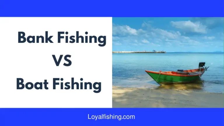 Bank Fishing VS Boat Fishing | What is Better in 2024?