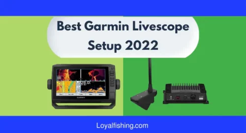 Best Garmin Livescope Setup