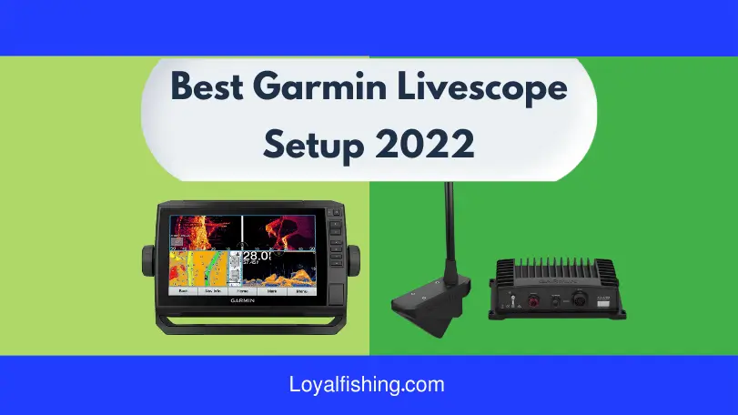 Best Garmin Livescope Setup