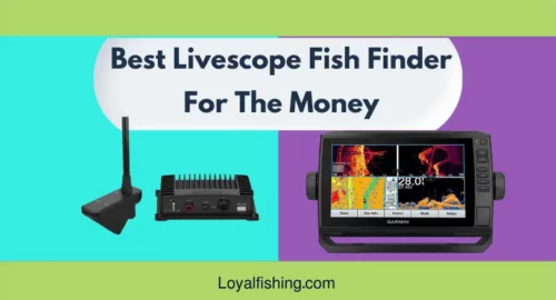 Best Livescope Fish Finder For The Money