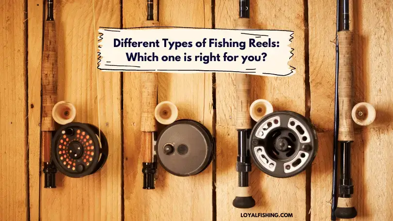 Different Types of Fishing Reels