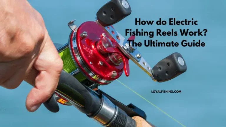 How do Electric Fishing Reels Work: The Ultimate Guide