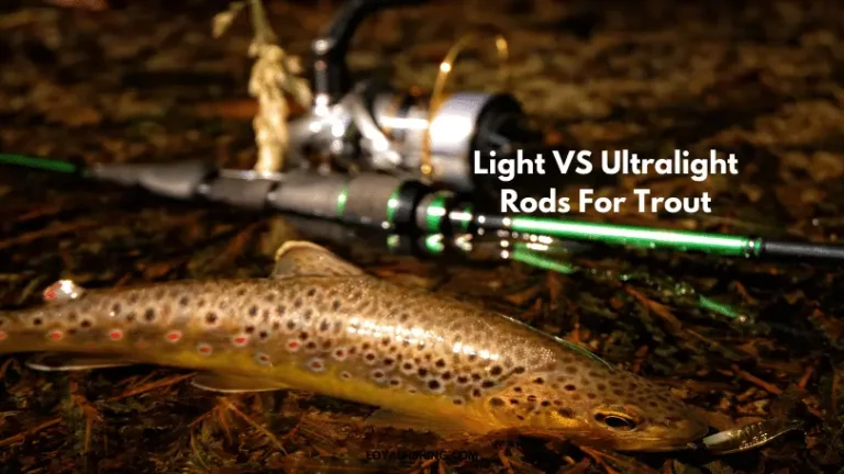 Light vs. Ultralight Rods for Catching Trout