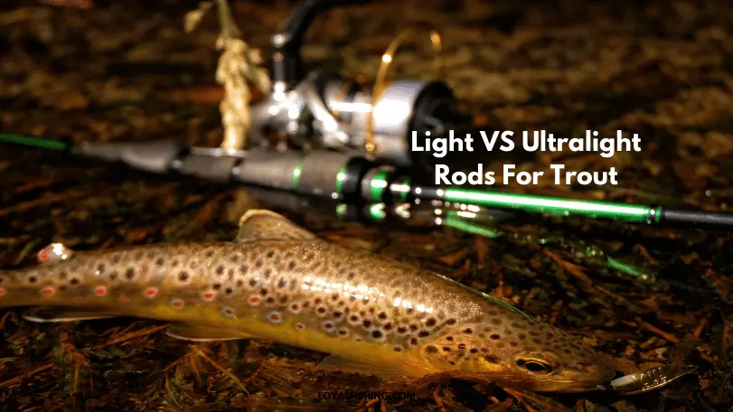 Light VS Ultralight Rods For Trout