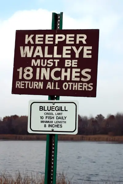 Recreational Fishing Regulation For BlueGill
