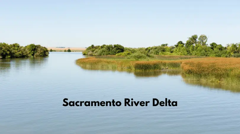 Sacramento River Delta