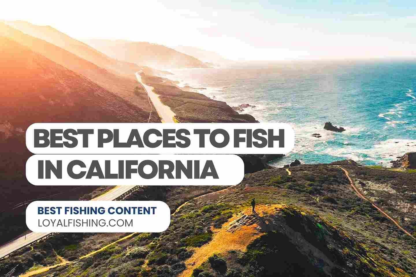 The 12 Best Places To Fish In California (2024)