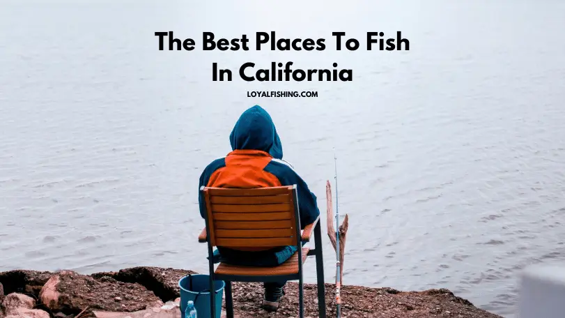 Best Places To Fish In California