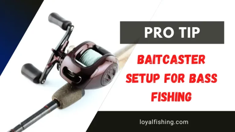 Baitcaster Setup for Bass Fishing (Pro Tip 2023)