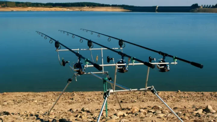 Buying Guide For The Best Bass Fishing Rod Under $100