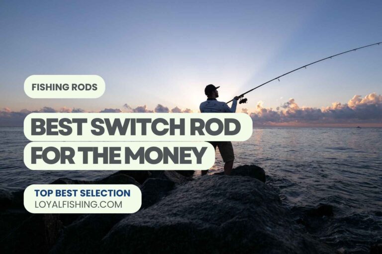 Best Switch Rod For The Money 2024