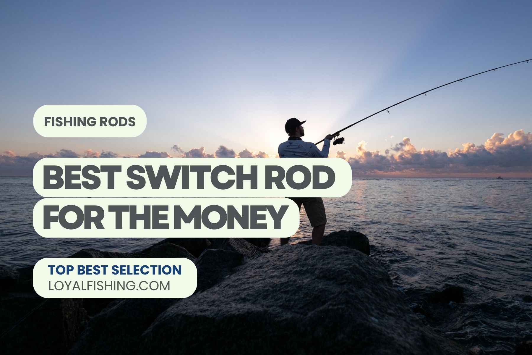 Best Switch Rod for the Money