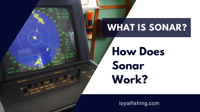 How Does Sonar Work