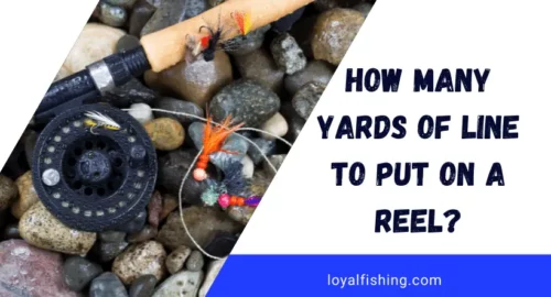 How Many Yards of Line to Put on a Reel