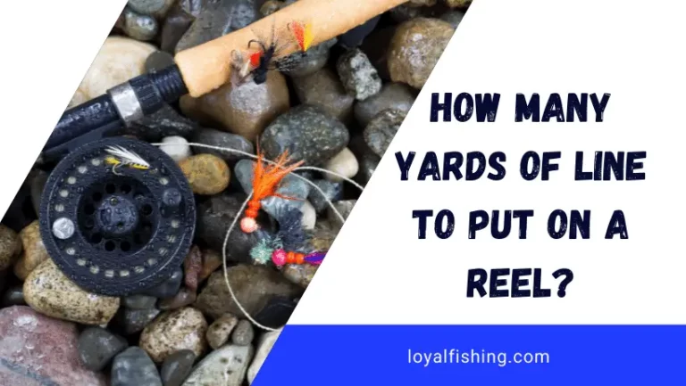 How Many Yards of Line to Put on a Reel? [Tried and True]