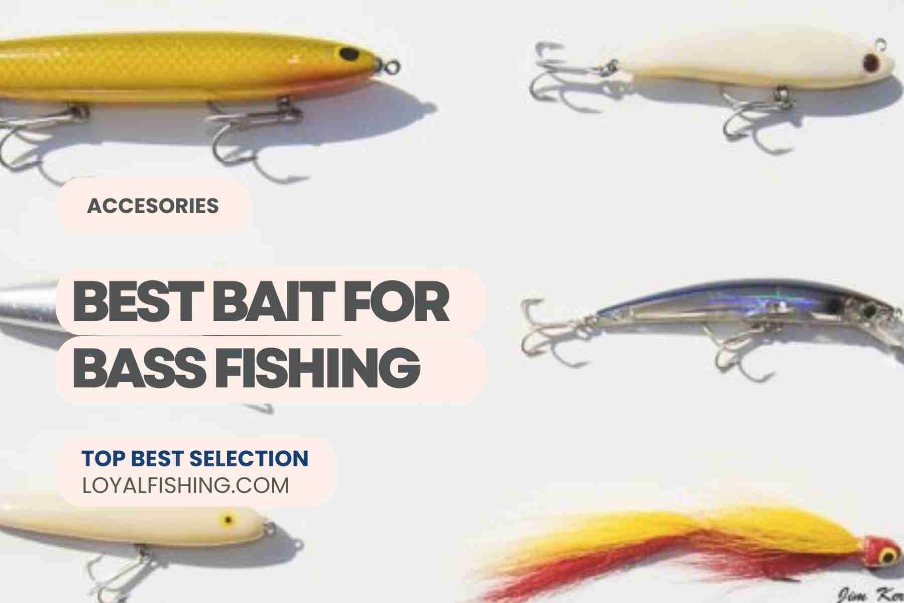 Best Bait for Bass Fishing