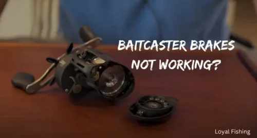 Baitcaster Brakes Not Working