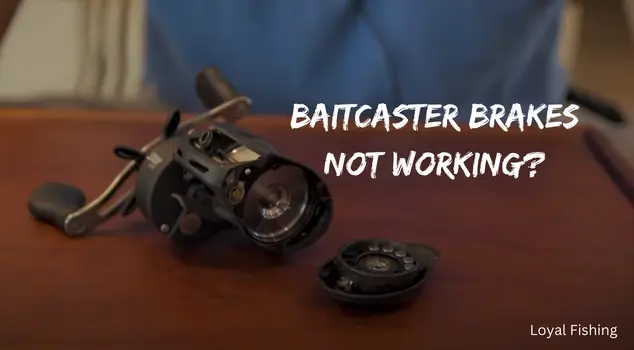 Baitcaster Brakes Not Working