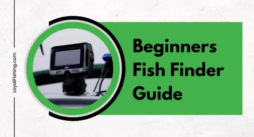 Beginners Fish Finder Guide to Catch More Fish Than Ever Before