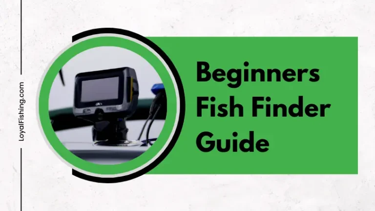 Beginners Fish Finder Guide 2023