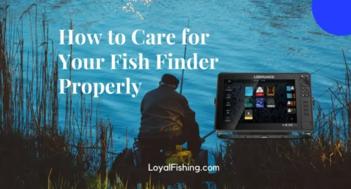 How to Care for Your Fish Finder