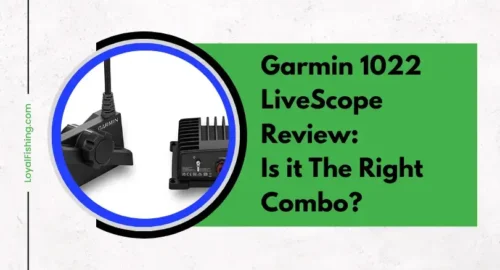 garmin 1022 livescope review