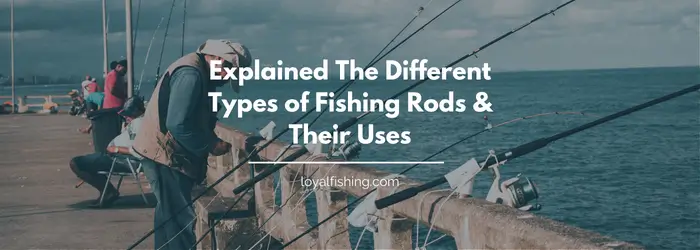 Explained the Different Types of Fishing Rods and Their Uses