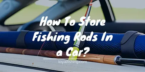 How To Store Fishing Rods In a Car
