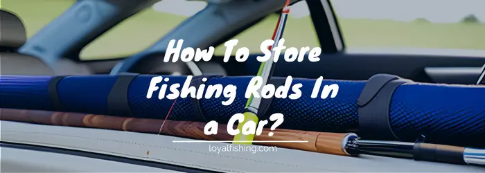 How To Store Fishing Rods In a Car