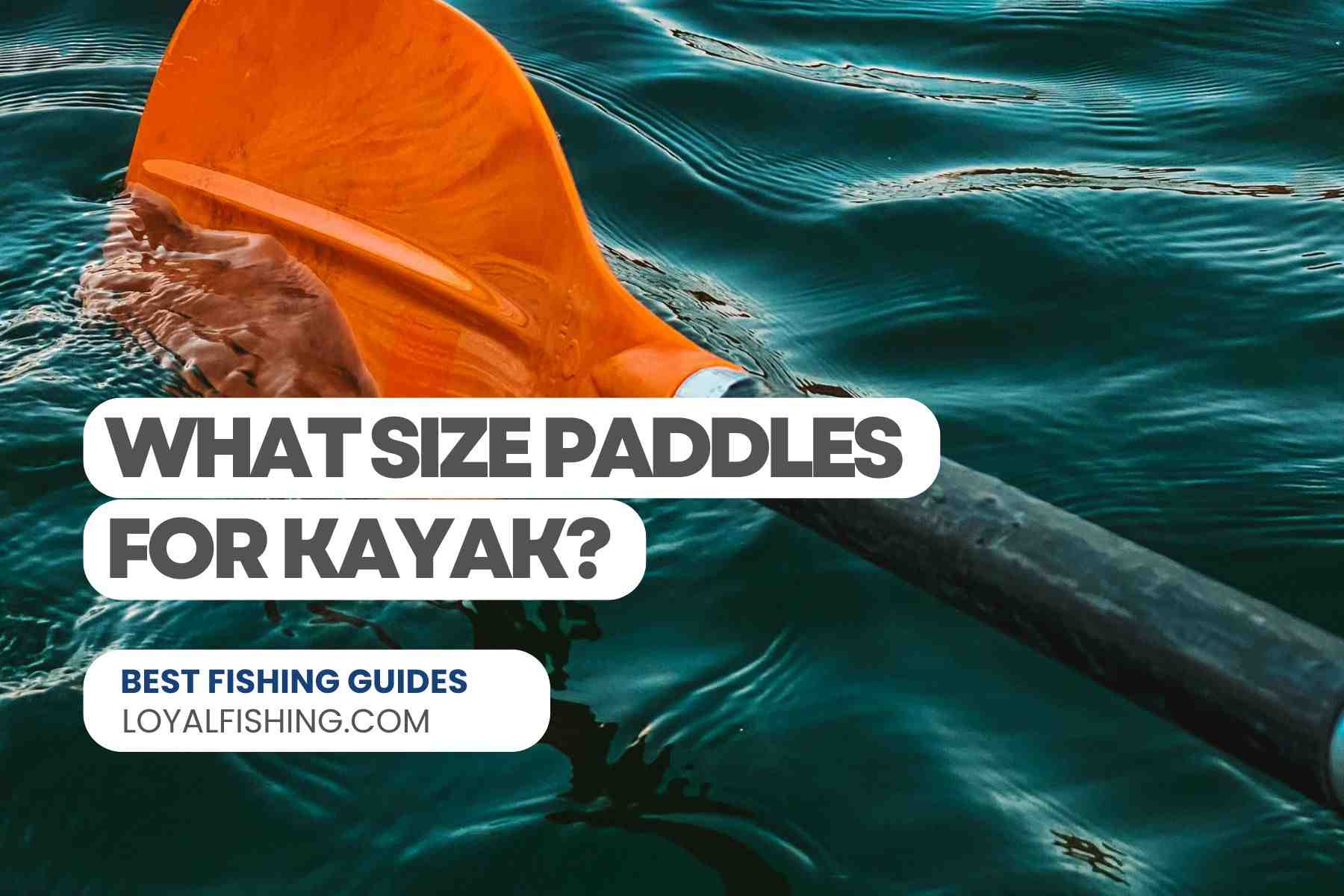 What Size Paddles for Kayak Beginner's Guide