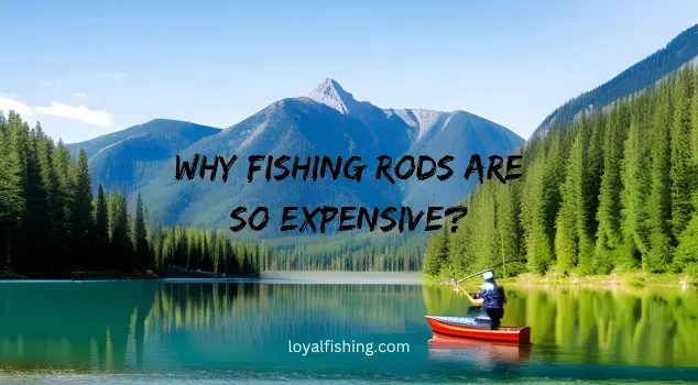 Why Fishing Rods Are So Expensive?